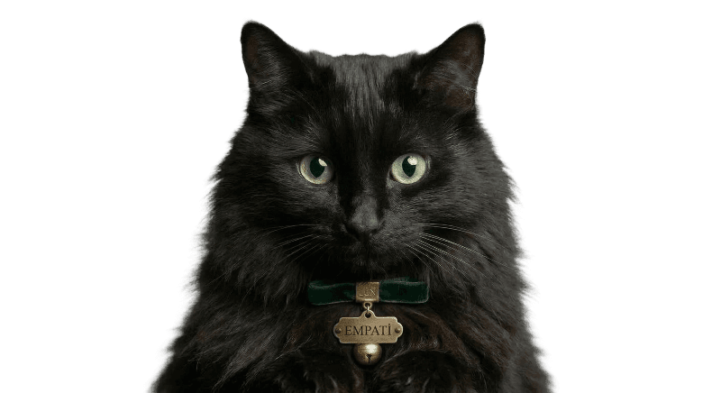 cute black cat mascot