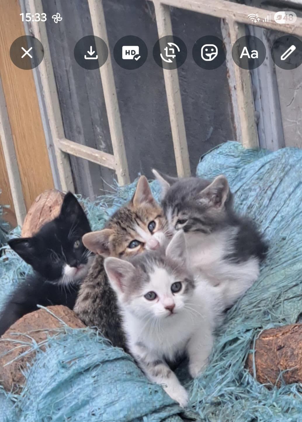 🚨 İMDAT ÇOK ACİL